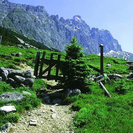 酒店 戴安娜酒店 蒂罗尔-泽费尔德