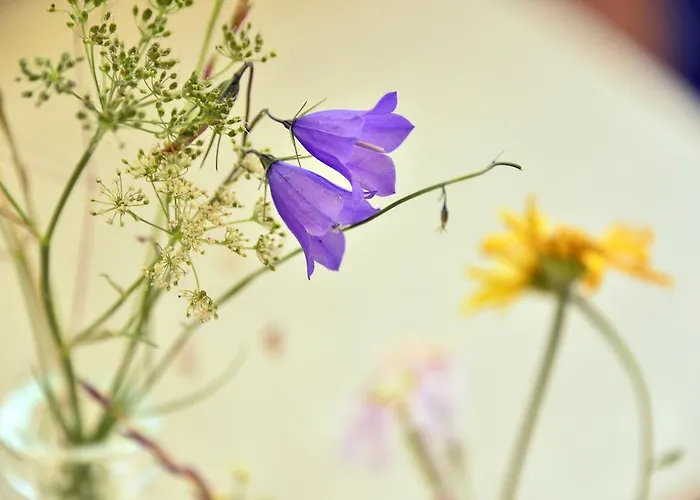 酒店 戴安娜酒店