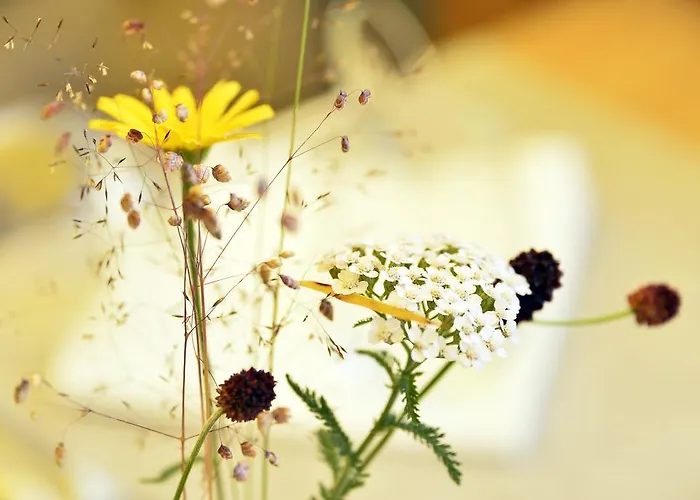 戴安娜酒店 酒店