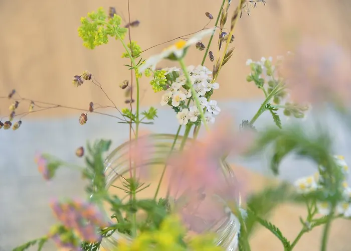 酒店 戴安娜酒店 3*